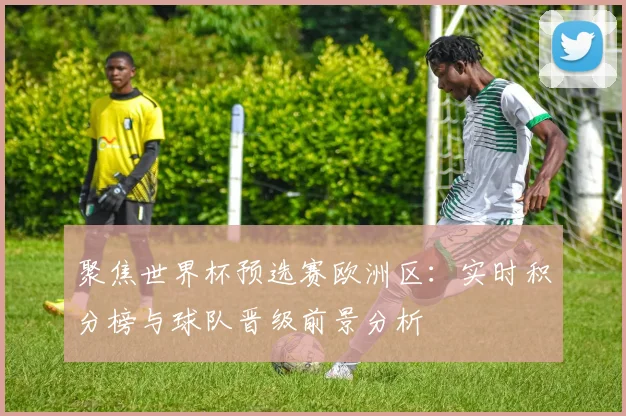 聚焦世界杯预选赛欧洲区：实时积分榜与球队晋级前景分析
